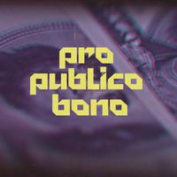 Pro publico bono