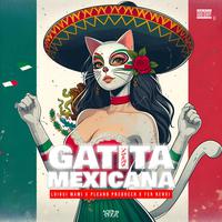 Gatita Mexicana (feat. Fer Renxi & Pleand Producer) [Remix]