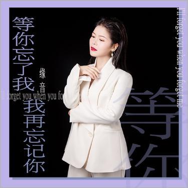 等你忘了我我再忘记你 (DJ版)封面