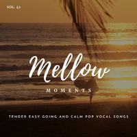 Mellow Moments - Tender Easy Going And Calm Pop Vocal Songs, Vol. 41