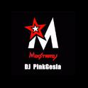 DJ PinkGesia