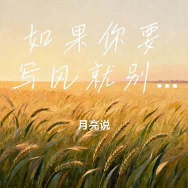 如果你要写风就别只写风 (月亮说 Remix)封面