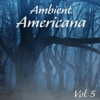 Ambient Americana, Vol. 5