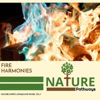 Fire Harmonies - Nature Chirps, Jungle and Waves, Vol.7