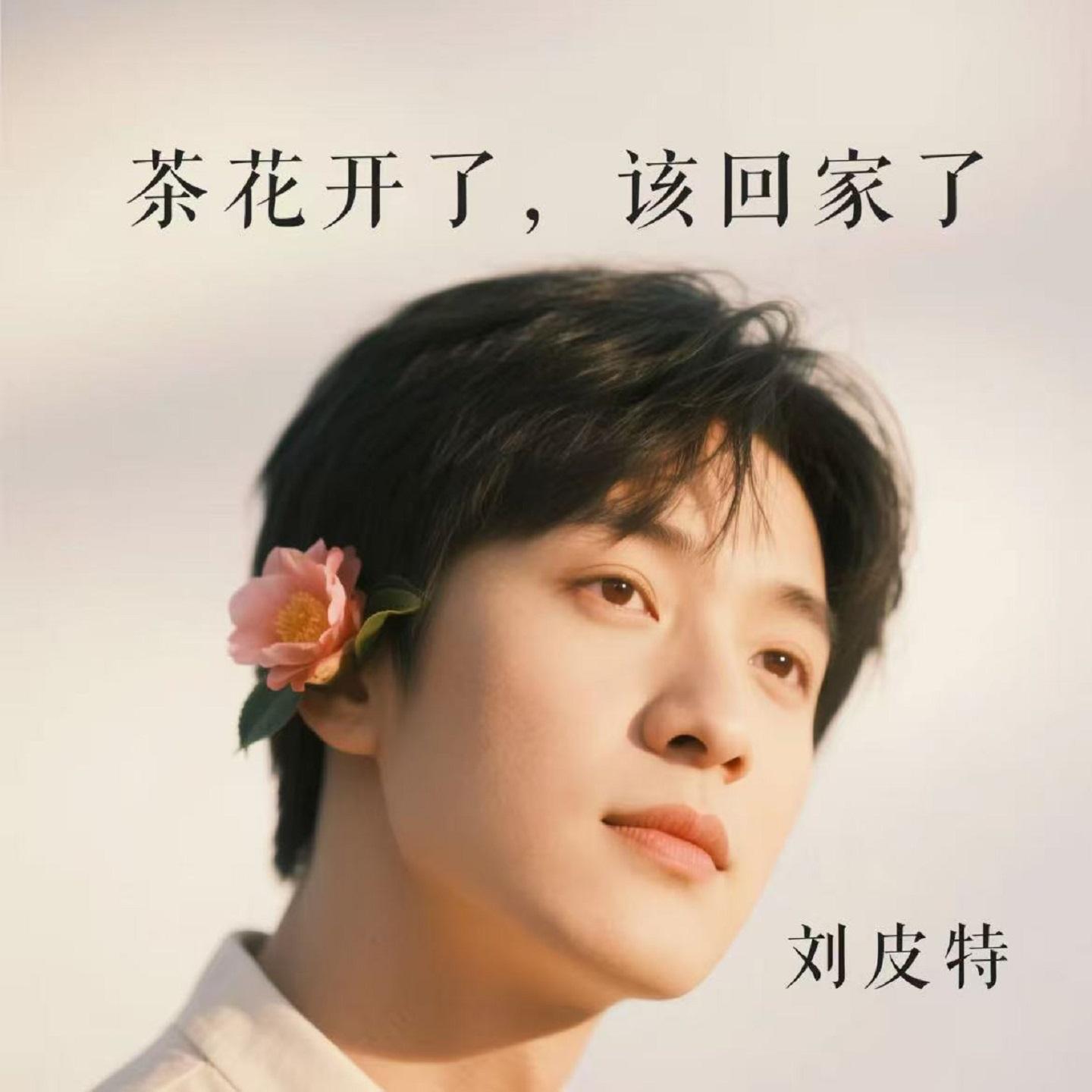 茶花开了，该回家了