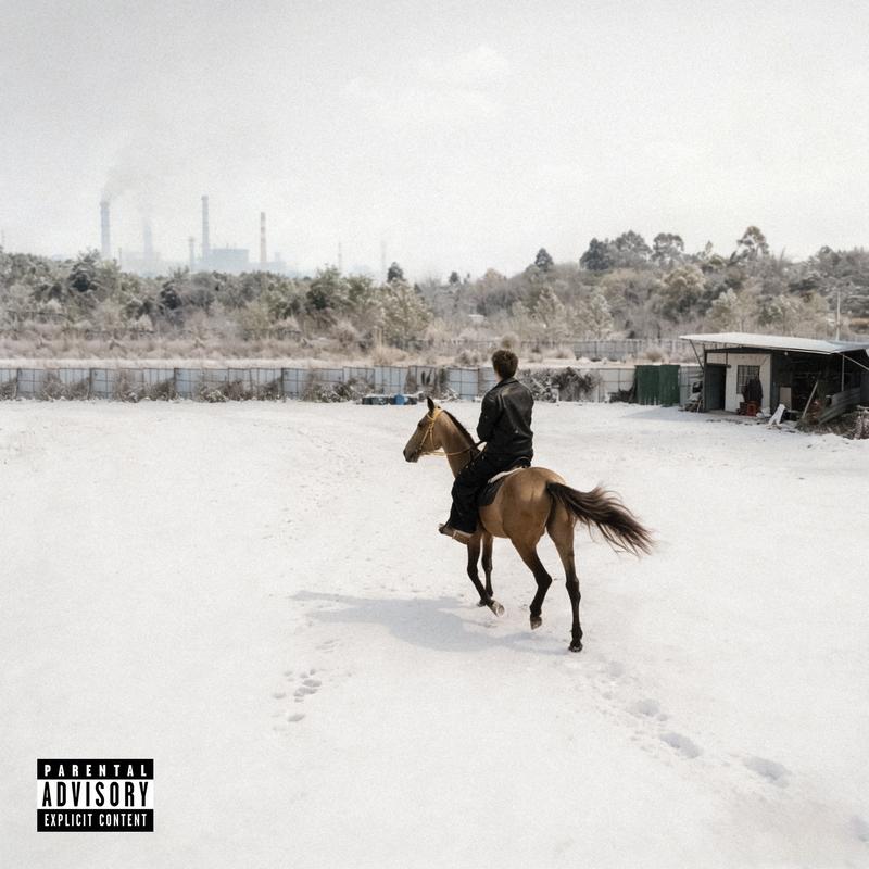 年轻的小伙（Young Fellow）