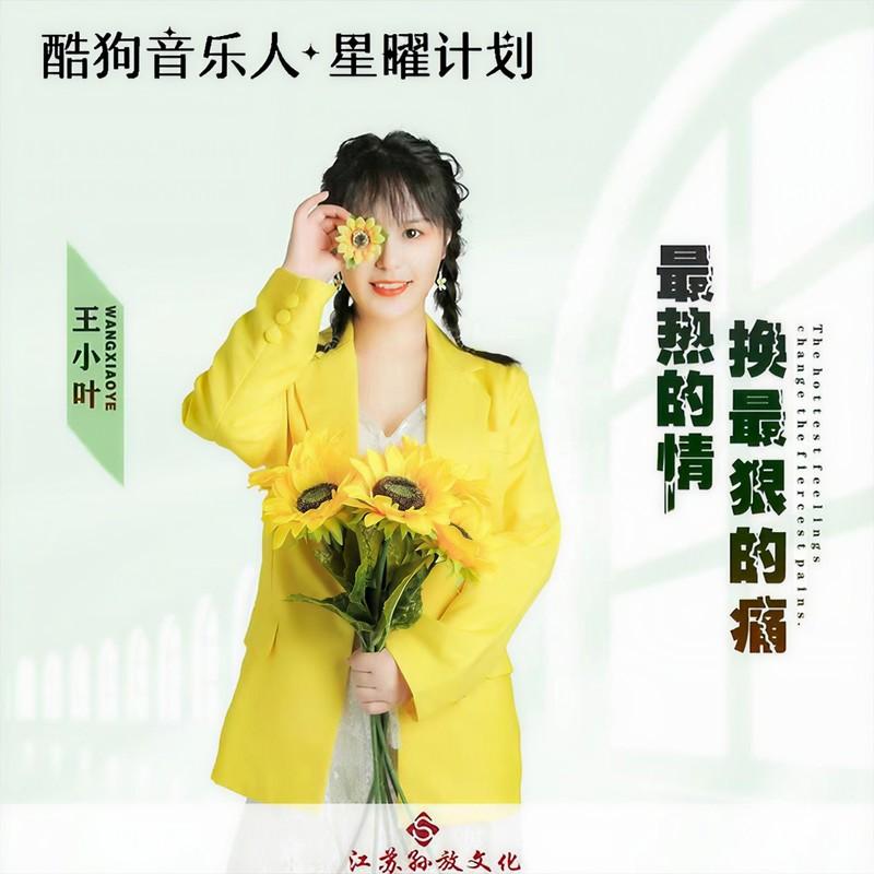 最热的情换最狠的痛 (广场舞版)封面