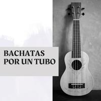 Bachatas por un tubo