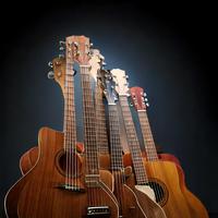 Harmonic Frets: A Guitar Music Collection