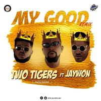 My Good (Jaywon Remix)