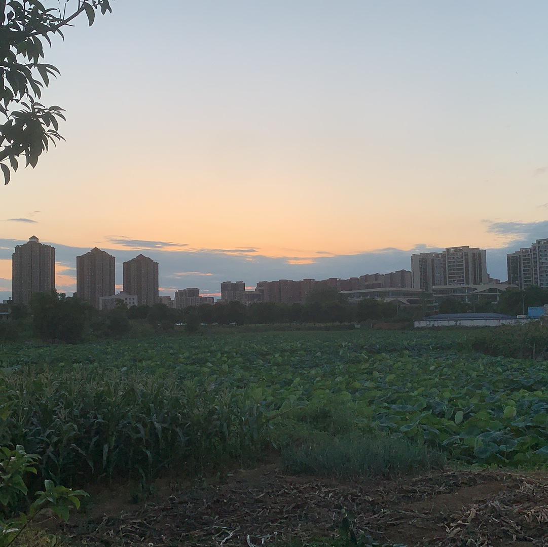 还给你封面
