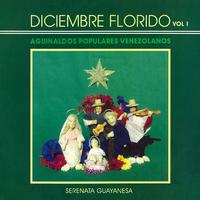 Diciembre Florido, Vol. 1