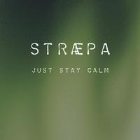 Just stay calm (feat. Roel vanWijk)