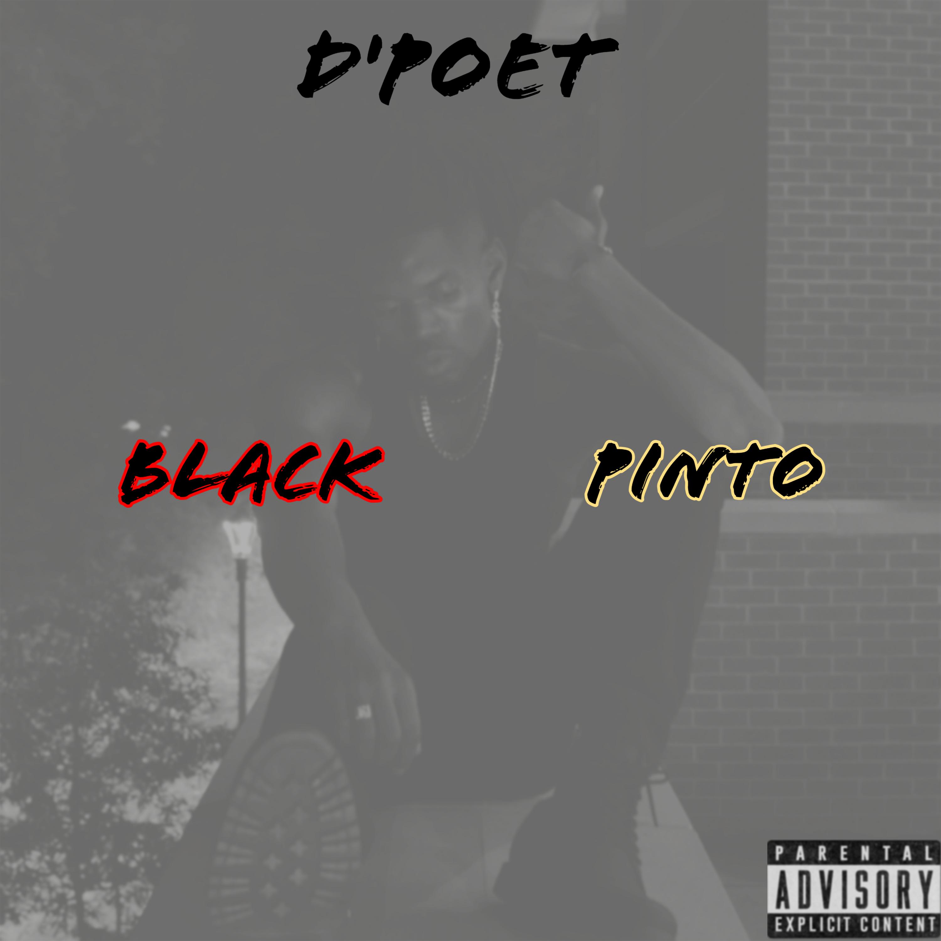 Black Pinto