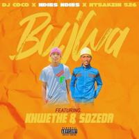 Bujwa (feat. Khwethe rsa & sdzedr)