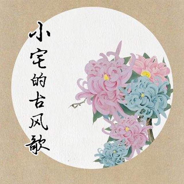 观雪封面