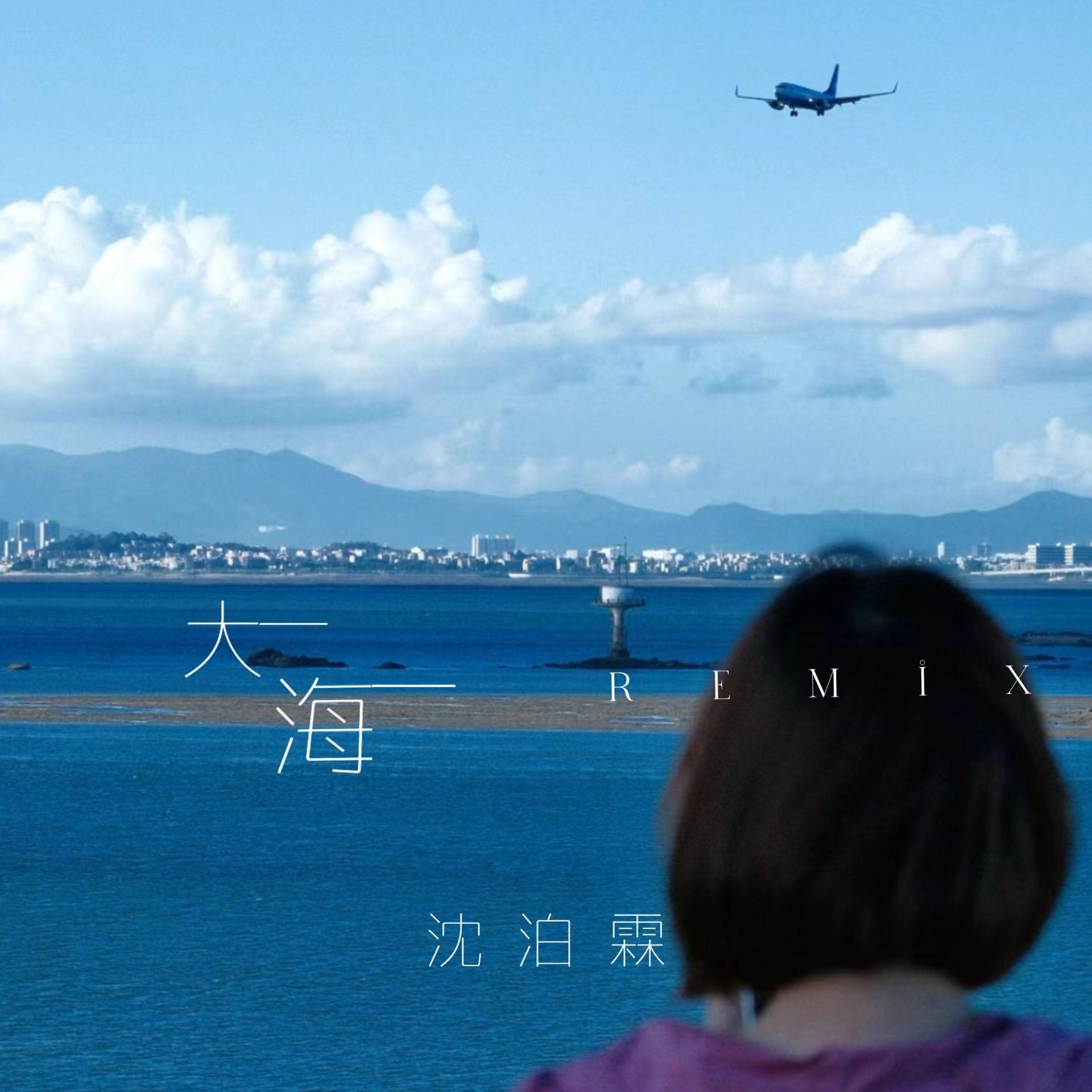沈泊霖-大海（沈泊霖 / 杨历川 ） - 沈泊霖、杨历川封面