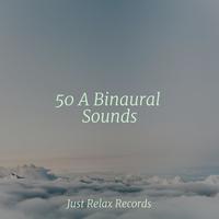 50 A Binaural Sounds