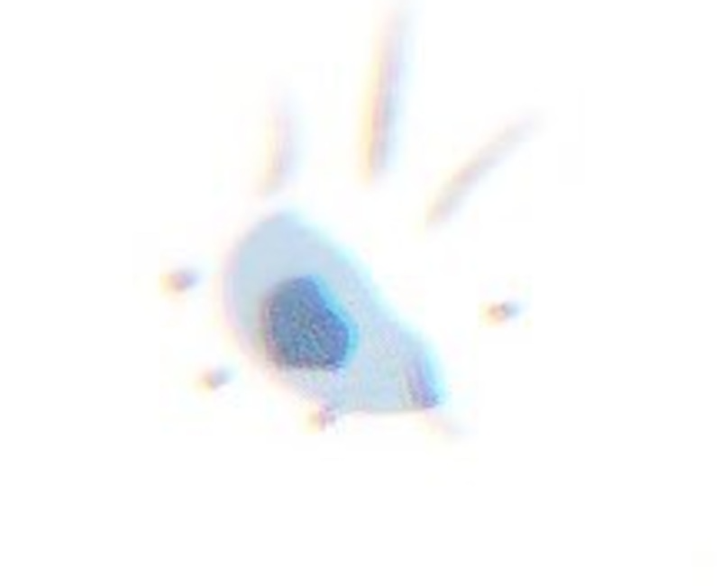 是