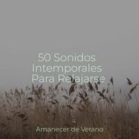 50 Sonidos Intemporales Para Relajarse