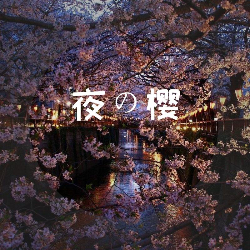 爱不舍封面