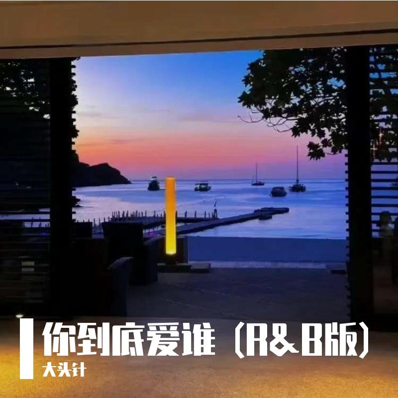 你到底爱谁封面