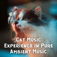 Cat Music Experience in Pure Ambient Music