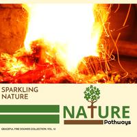 Sparkling Nature - Graceful Fire Sounds Collection, Vol. 10