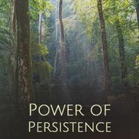 Power of Persistence