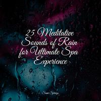 25 Meditative Sounds of Rain for Ultimate Spa Experience