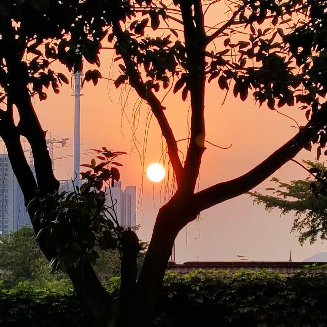 拱手相让封面