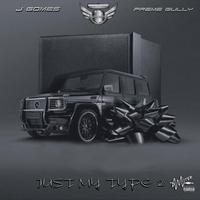 JUST MY TYPE 2 (feat. J Gomes & PREME GULLY)