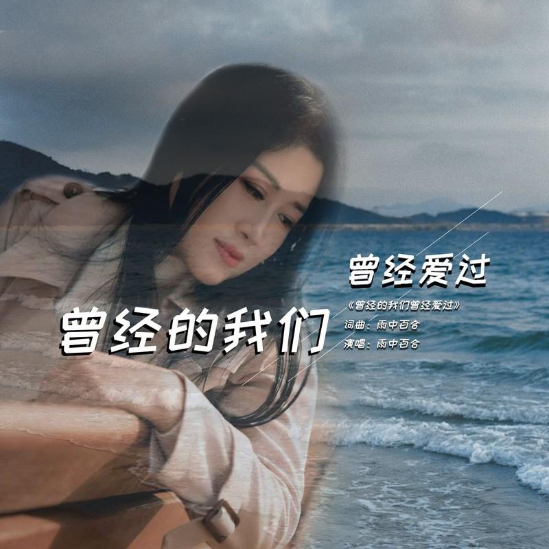 曾经的我们曾经爱过 (伴奏)封面