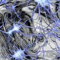 sɨve资料,sɨve最新歌曲,sɨveMV视频,sɨve音乐专辑,sɨve好听的歌