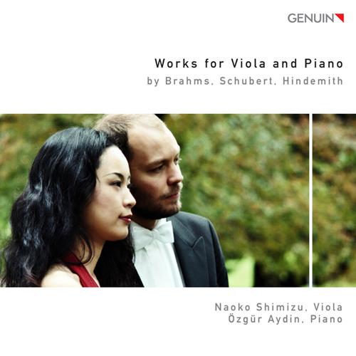 Arpeggione Sonata in A Minor, D. 821 (arr. for viola and piano):I. Allegro moderato
