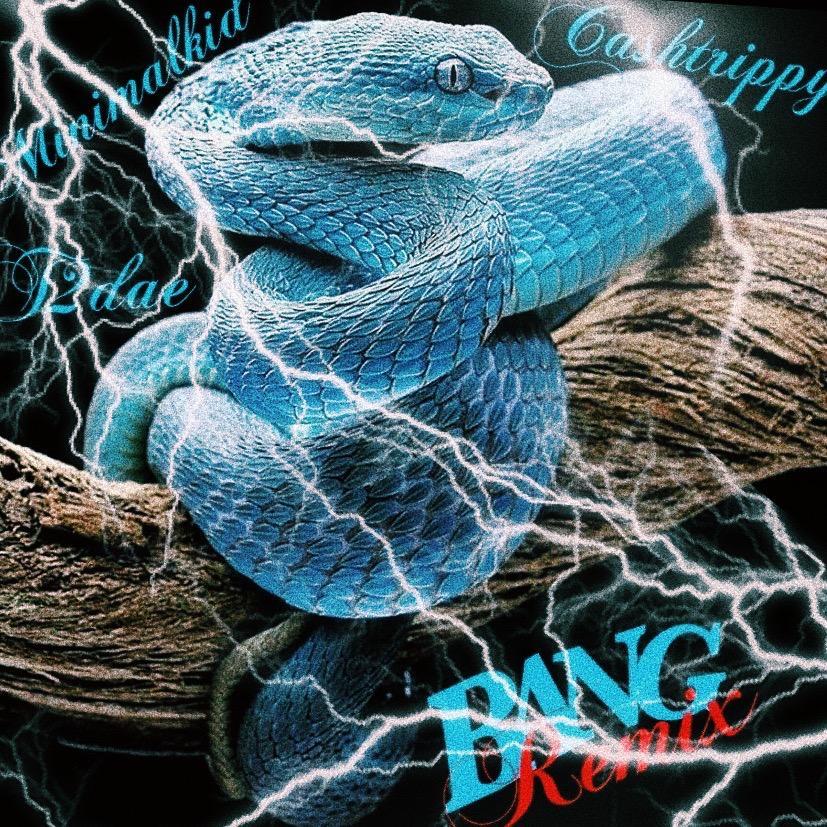 CashTrippy-BANG REMIX（MinimalKid / T2daE / CashTrippy remix）