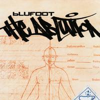 Blufoot