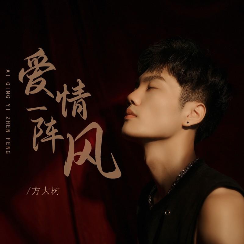 爱情一阵风 (DJ版)封面