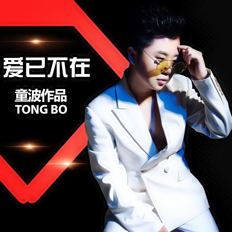 爱已不在 - 童波封面