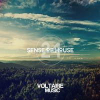 Sense of House, Vol. 24