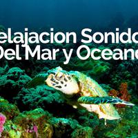 Relajacion Sonidos Del Mar y Oceano