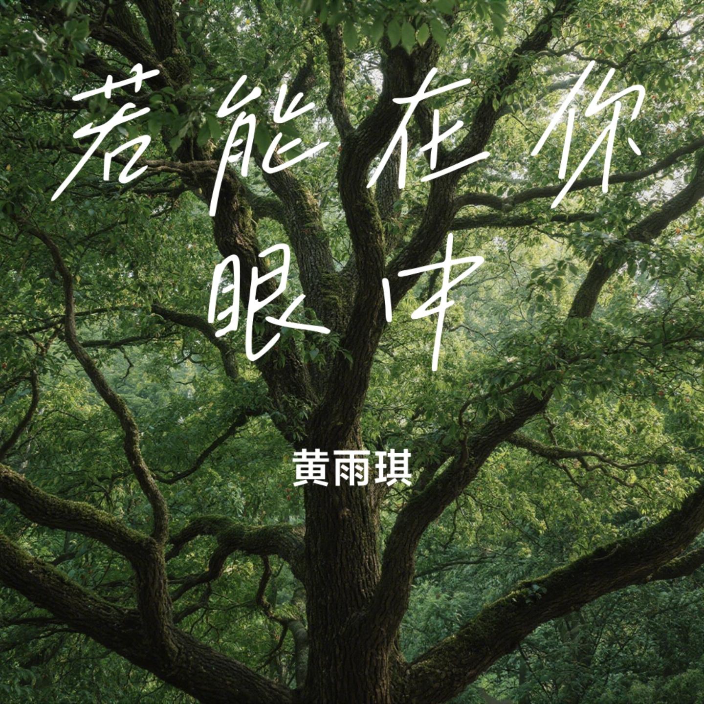 若能在你眼中封面