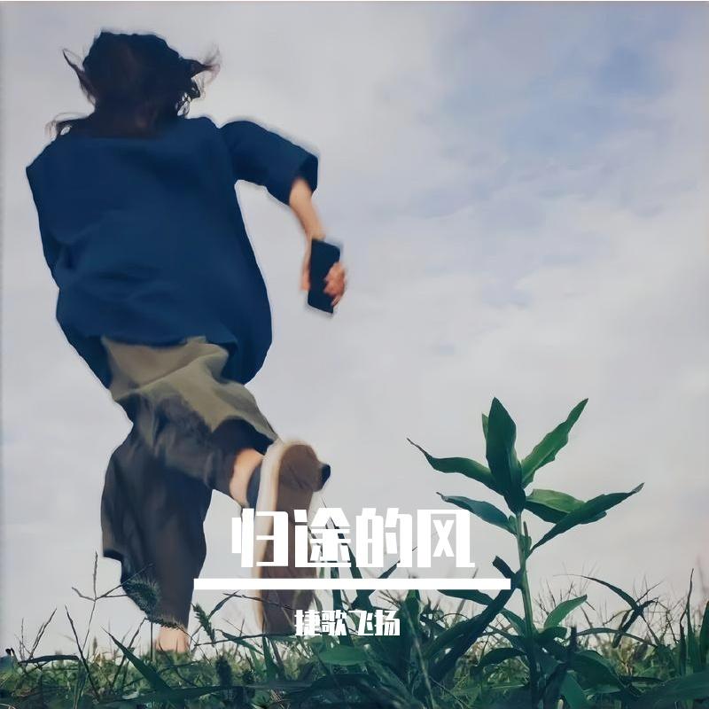 归途的风封面