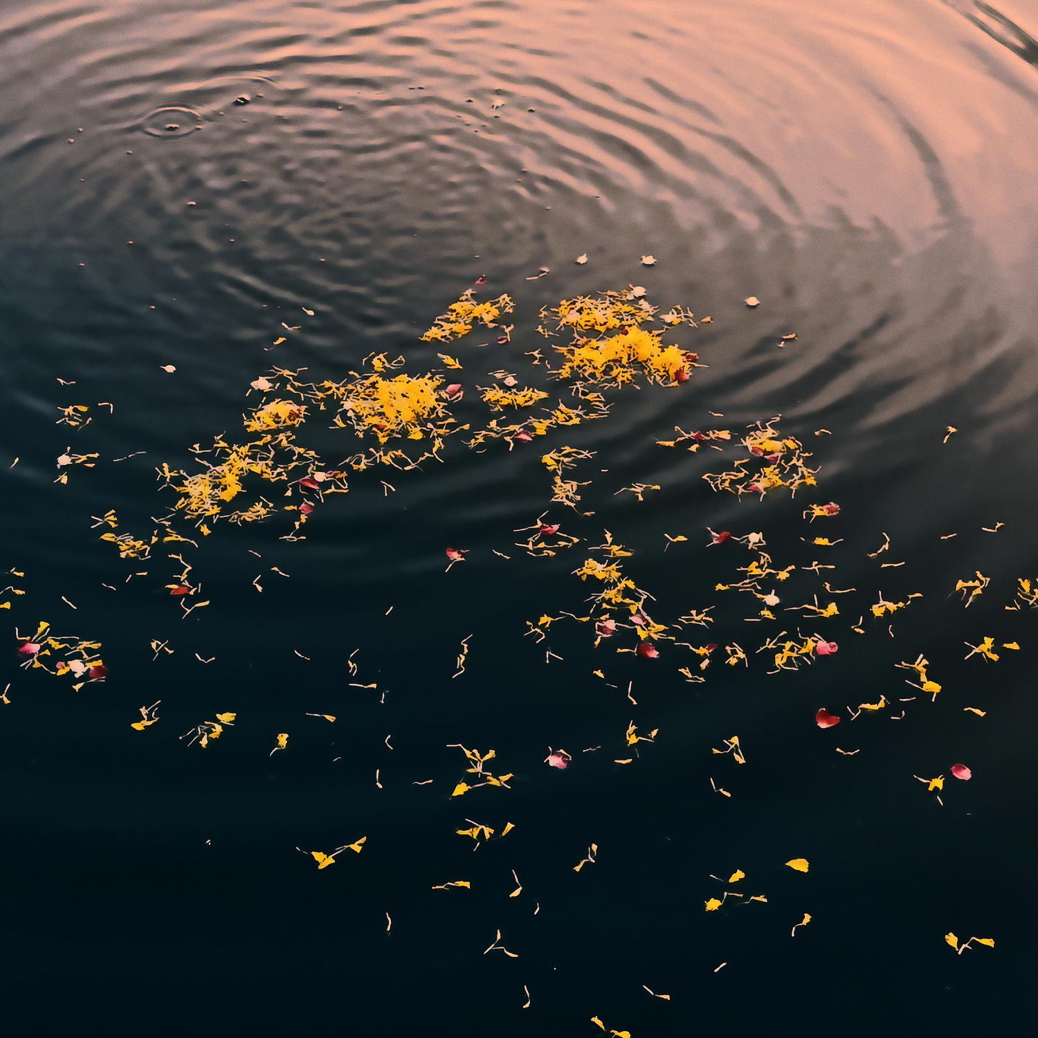 จากนี้ (This Farewell)