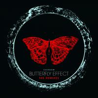 Butterfly Effect