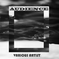 AUDIENCE