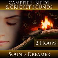 Campfire, Birds and Cricket Sounds (2 Hours)