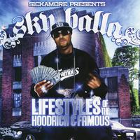 Lifestyle of the Hoodrich & Famous