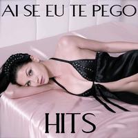 Ai Se Eu Te Pego: Hits 2011