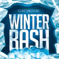 Electronic Winter Bash